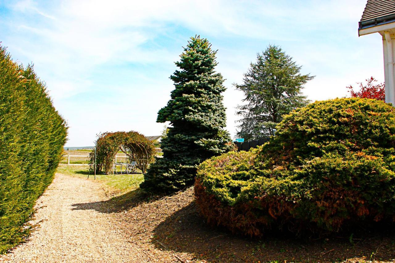 Bed and Breakfast La Veuzaine Onzain Exteriér fotografie